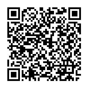 十几万只巨大的灵兽失去了灵气支撑无法支持自己的身体在空中自由飞行二维码生成