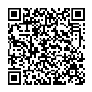 十几个拿着猎枪和手枪的青年把枪顶在了杨洛和李涛他们的脑袋上二维码生成