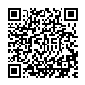 十几个荷枪实弹的警察在孙永康的带领之下来到了周狼住的宾馆二维码生成