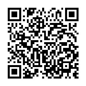 十几只正在撕咬人类尸体的通臂猿猴瞬间便是发现了叶莫二维码生成
