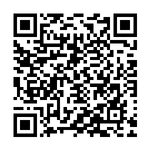 十几年的人生都活在众星捧月的环境里与世隔绝――也难免了二维码生成