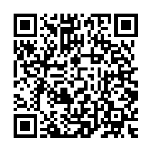 十几把伸出舷外的木桨从原来顺流而扳变成顶着汹涌水流扳动二维码生成