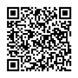 十分简练地将仙界和混沌宇宙及异界之间的关系说明了一番二维码生成