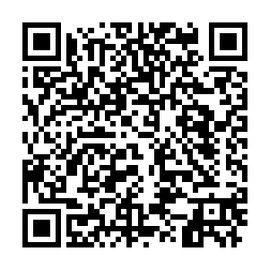 十大守护家族的盖世强者和一些属于其他实力的圣皇一个个双目在放光二维码生成