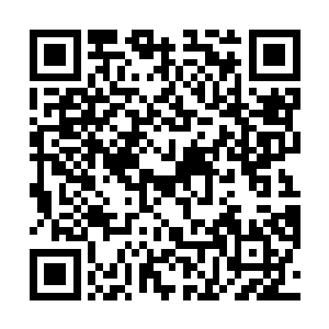 十星客户保证信用不退级的前提下可终生享受免费服务二维码生成