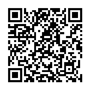 十颗小补神丹最后只用了二十多分钟的时间就完全拍完了二维码生成