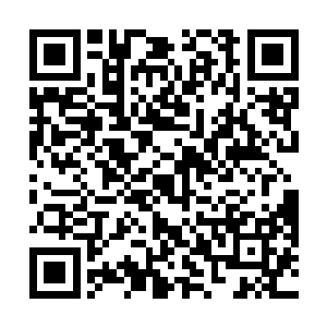 千万不要忽略了我们的大家来编程这款软件的市场表现二维码生成