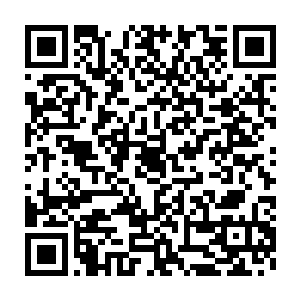 千丝万缕的青木之气疯狂地从众人的七窍和毛孔处涌入到众人的体内二维码生成