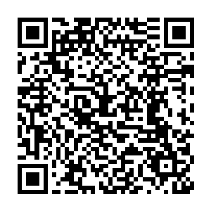 千叶宗的档次硬是被司明拉平到了与那些小家族和小势力等同的水准二维码生成
