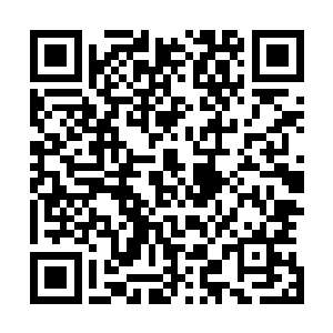 千夜所指的地方正是上一次穿过的满地紫色基质的诡异森林二维码生成