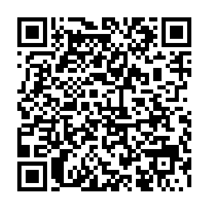 升级版的星瞳比以前的星瞳不管是在声音方面还是在性格方面有极大的出入二维码生成