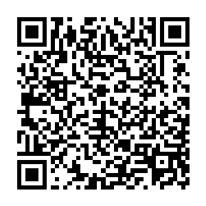 半个多小时之后原本密密麻麻的堕落天使被天龙宗众人全部收割完毕了二维码生成