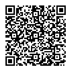 半圣榜第二和第三那两个强者在上一次排行的时候都已经是上等和顶尖的一流半圣层次二维码生成