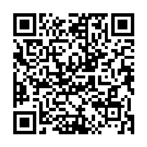 半年前你们学校要派一批即将毕业的学生来我们集团实习二维码生成