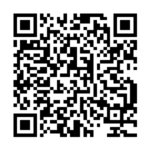 华南军校和西北军校的分数差距瞬间就拉到了只剩下三分二维码生成