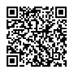 华南军校这一组的几个人没有任何犹豫的解开了身上的安全带二维码生成