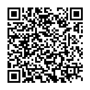 华国公和南侯的提议墨景祁果然连听都没听完就在早朝上断然否决二维码生成