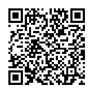 华国本想将这个谈判代表团派往皮克王国协助赵长枪完成任务二维码生成
