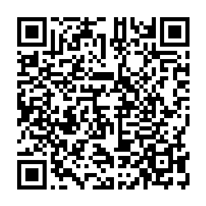 华夏中心电视台在新闻一套七点整的最黄金时段通过新闻联播强势解读了十分钟二维码生成