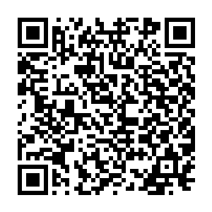 华夏九从树圣分身处得到的记忆和当初在河坝城吸融虎妖的记忆互相印证二维码生成