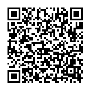 华夏九早已决定今后贡献点的主要来源便是通过完成血杀榜单悬赏获取二维码生成