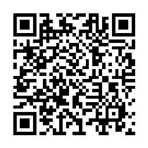 华夏九看着二人旁若无人般的讨论他死了之后如何如何二维码生成