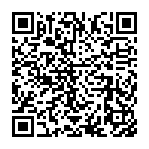 华族的耳纹结构和非华族的耳纹结构在几个关键的地方是有人种差异的二维码生成