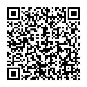 华民集团如果单说规模和其本身涉及到的领域倒也是比较符合标准了二维码生成
