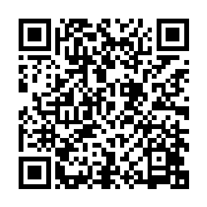 华纳兄弟和二十世纪福克斯分别担任影片的海外和北美发行商二维码生成