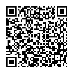 卓均绘从自己的小乾坤袋内拿出一枚和方凌那个大小一样的大须弥令二维码生成