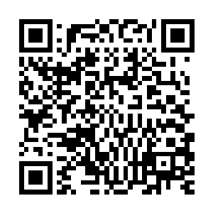 卓妈妈特地将暖和却瞧着也不过分厚实臃肿的狐皮袄子寻了出来二维码生成