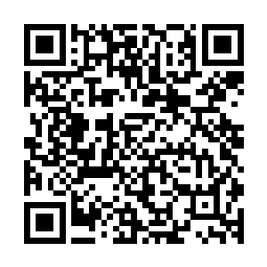 卓景的拳头指节处的皮肤伴随着殷殷点点的血迹已经全部破开二维码生成