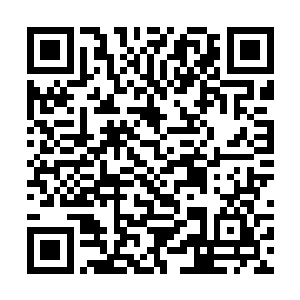 单人一次杀死野兽超过五只就会触动指南的判罚机制二维码生成