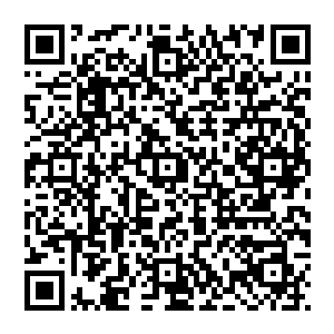 单信等一帮山海族的五气境大能借着一套山海大阵硬生生的抵抗住了玄武族众多五气境大能的攻击二维码生成