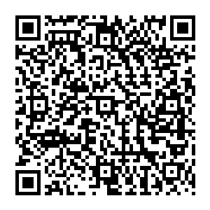 单凭三道门早在外域第一波星巢集团攻势时就得跪了……外域可不像本域会忌惮打破瓶瓶罐罐二维码生成