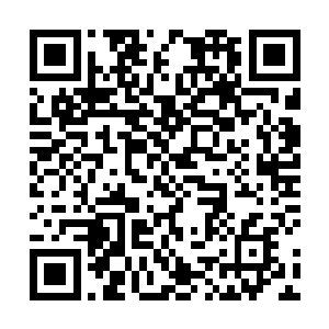 单凭他与杨开两人根本不可能挡得住这么多半圣的冲击二维码生成