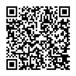 单单从传承数百年实力强大的碧家在一夜之间就被灭门这件事情上二维码生成