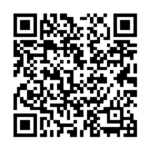 单单以这种灵木本身就已经是价值连城了……与他相比二维码生成