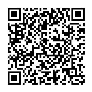 单单使用神枢仙识激发了一部分神机族血脉关于语言的接受和学习功能二维码生成
