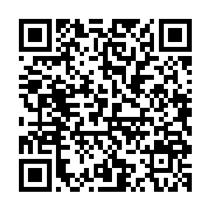 单单十六层的那三头异类就绝对不是现在的你能够抗衡的了的二维码生成