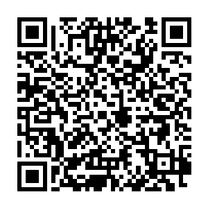 单单是他之前得到的那两枚神秘的小珠子便足以让他研究很久的了二维码生成