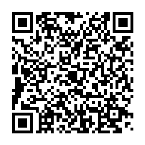 单单是以检察院的侦察手段就需要在很多时候受制于法律规定的时限二维码生成