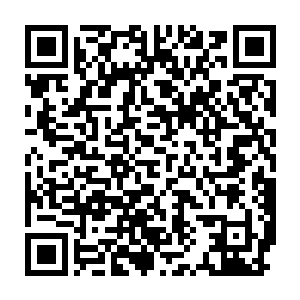 单单是它头顶上的那一只血冠就已经可以确定这一只灵兽的身份了二维码生成