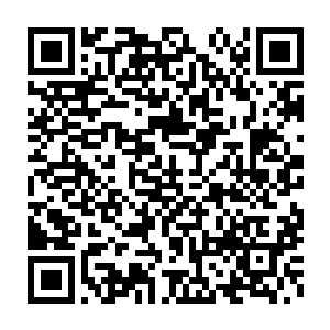 单单是悬在空中的那个硕大如磨盘的狰狞龙爪就让人感觉到十分的心寒二维码生成