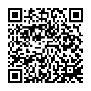 单单是李天一表现出来的这种气质就已经有了一派宗师的派头二维码生成