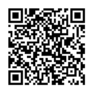 单单是混沌果和菩提果这两种圣果龙傲天就服用了不下数十颗二维码生成