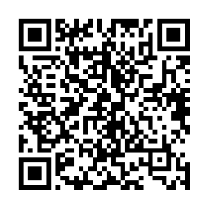 单单是玄黄圣树散发出来的玄黄之力也可以支撑杨戬修炼了二维码生成