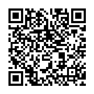 单单是秦方现在看到的位置……身躯长度就起码在两百米以上的二维码生成