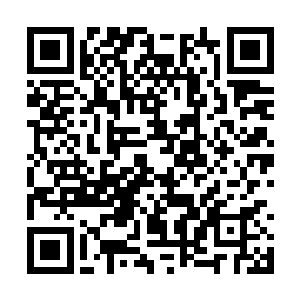 单单是羽林卫也决计不可能再在这里耗上四个时辰二维码生成