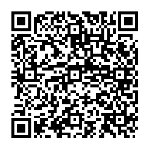 单单是那他们辨认出来颇为珍贵的各种仙材和散发的气息非常高级的微型花株植株二维码生成